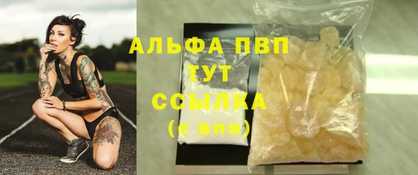 ECSTASY Белокуриха