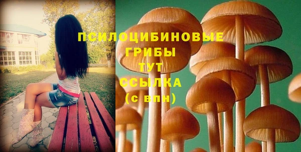 ECSTASY Белокуриха