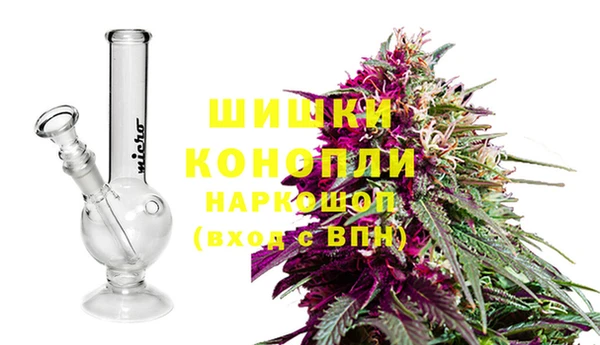 СК Лиски