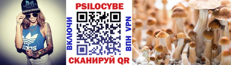 Галлюциногенные грибы мицелий Купить где Лянтор